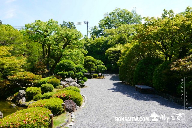 P1250923 [日本庭園]知恩院．友禅苑(Yuzen-en Garden)