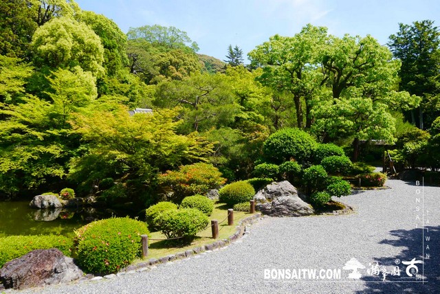 P1250926 [日本庭園]知恩院．友禅苑(Yuzen-en Garden)