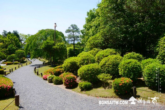 P1250932 [日本庭園]知恩院．友禅苑(Yuzen-en Garden)