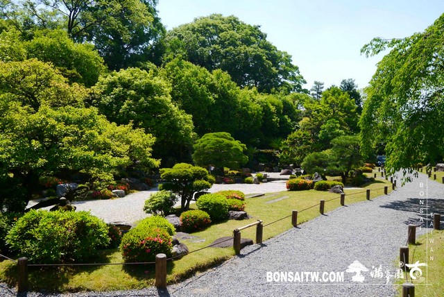 P1250936 [日本庭園]知恩院．友禅苑(Yuzen-en Garden)