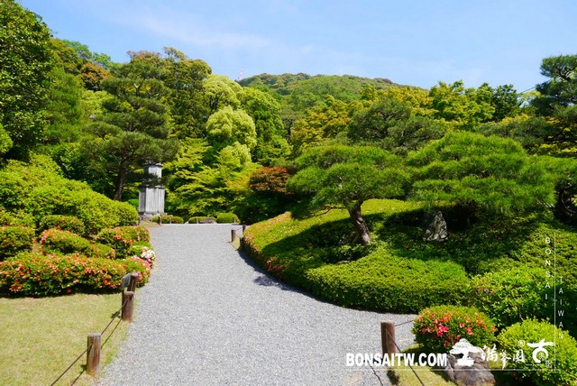 P1250984 [日本庭園]知恩院．友禅苑(Yuzen-en Garden)