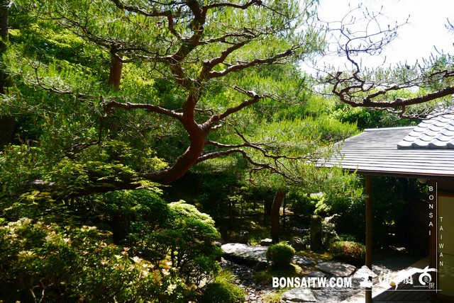 P1260023 [日本庭園]知恩院．友禅苑(Yuzen-en Garden)