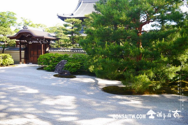 P1260551 [日本庭園]禪の道場．建仁寺(2)