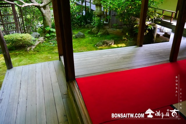 P1300688 [日本庭園]桂春院(2) 日本庭園(Japanese Garden)