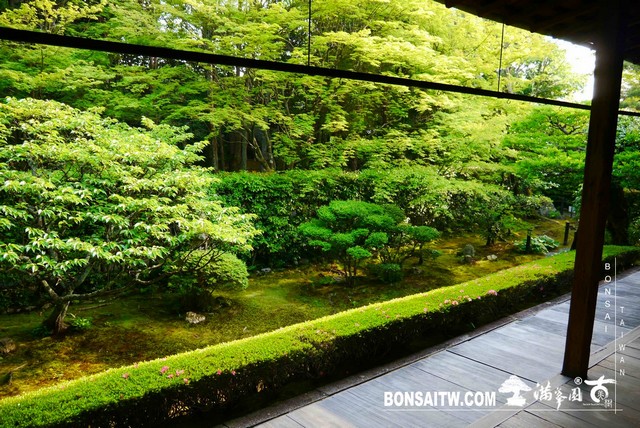 P1300693 [日本庭園]桂春院(2) 日本庭園(Japanese Garden)