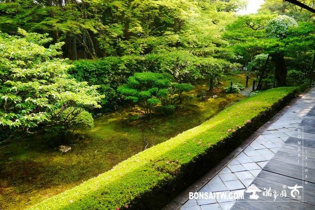 P1300698 [日本庭園]桂春院(2) 日本庭園(Japanese Garden)