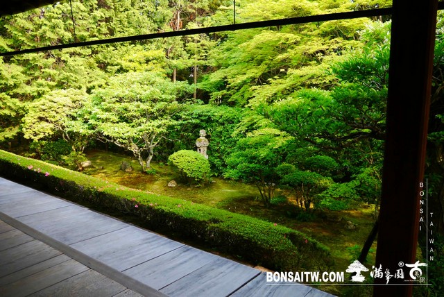 P1300714 [日本庭園]桂春院(2) 日本庭園(Japanese Garden)
