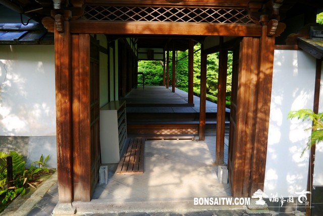 P1300720 [日本庭園]桂春院(2) 日本庭園(Japanese Garden)