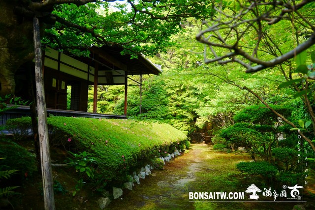 P1300726 [日本庭園]桂春院(2) 日本庭園(Japanese Garden)