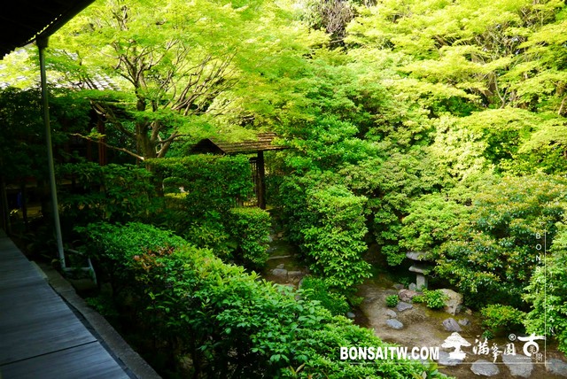 P1300743 [日本庭園]桂春院(2) 日本庭園(Japanese Garden)