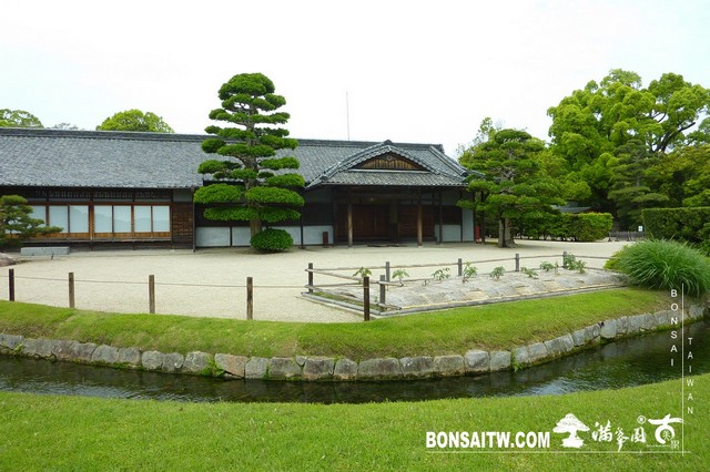 P1530490 [日本庭園]岡山後樂園(日本三大名園之一)