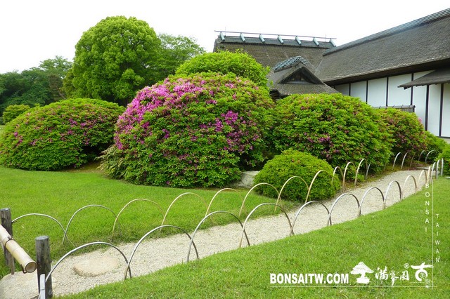 P1530491 [日本庭園]岡山後樂園(日本三大名園之一)