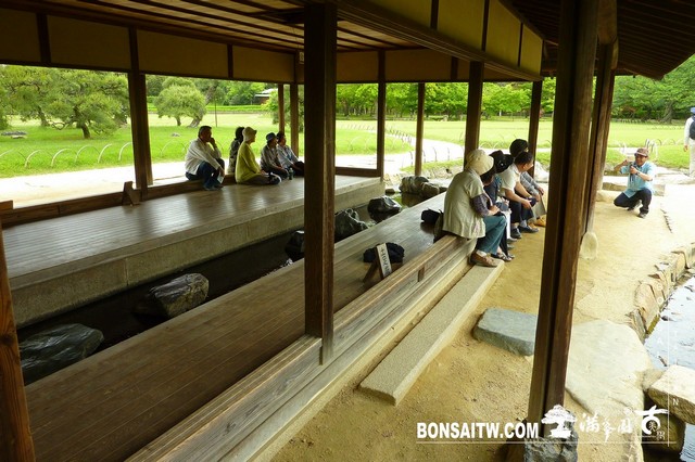 P1530618 [日本庭園]岡山後樂園(日本三大名園之一)