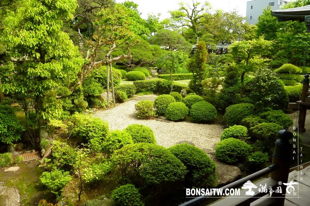 P1550331 [日本庭園]帝釋天題經寺．東京