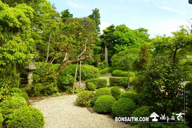 P1550351 [日本庭園]帝釋天題經寺．東京