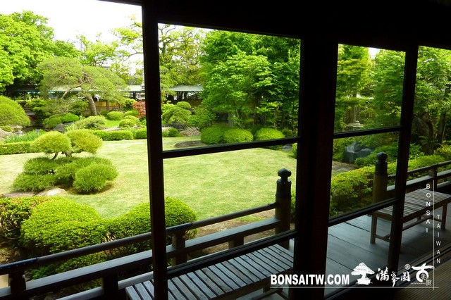 P1550395 [日本庭園]帝釋天題經寺．東京