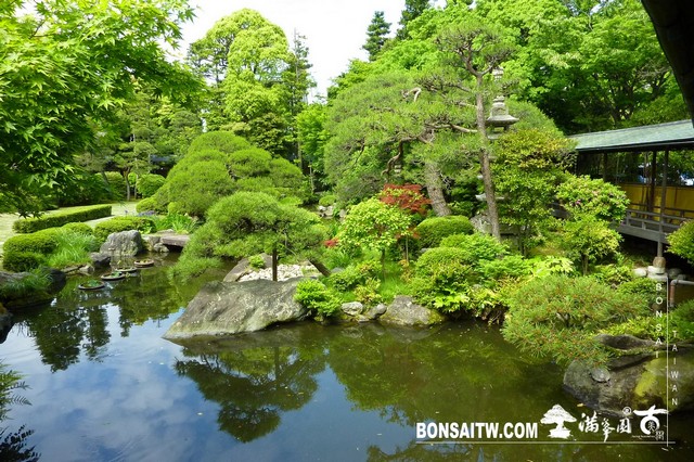 P1550436 [日本庭園]帝釋天題經寺．東京