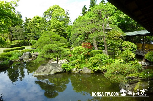 P1550438 [日本庭園]帝釋天題經寺．東京