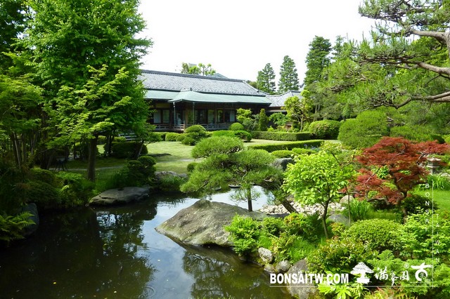P1550440 [日本庭園]帝釋天題經寺．東京