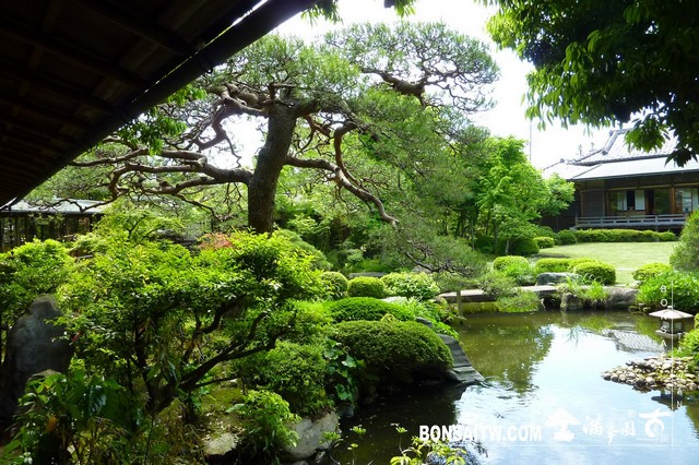 P1550462 [日本庭園]帝釋天題經寺．東京