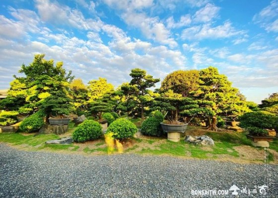 01 走過精彩2021，一起加油！ 2021