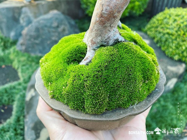 02 走過精彩2021，一起加油！ 我們的作品(Our Design)