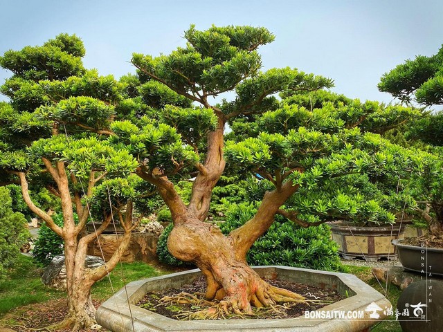 03 走過精彩2021，一起加油！ 我們的作品(Our Design)