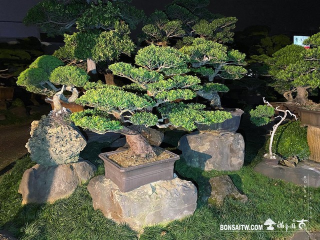 04 走過精彩2021，一起加油！ 我們的作品(Our Design)