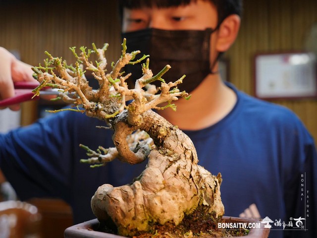 06 走過精彩2021，一起加油！ 我們的作品(Our Design)