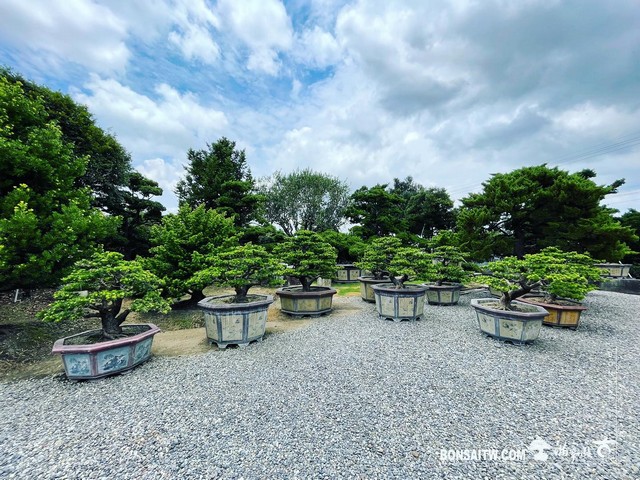 08 走過精彩2021，一起加油！ 我們的作品(Our Design)