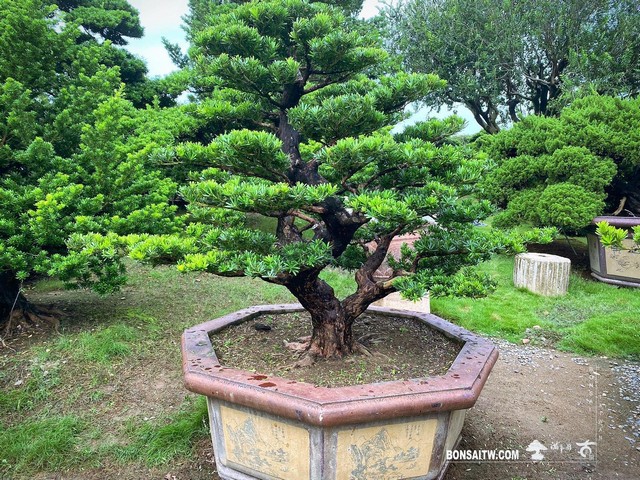 10 走過精彩2021，一起加油！ 我們的作品(Our Design)