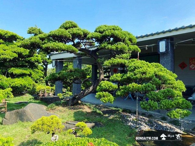 11 走過精彩2021，一起加油！ 我們的作品(Our Design)