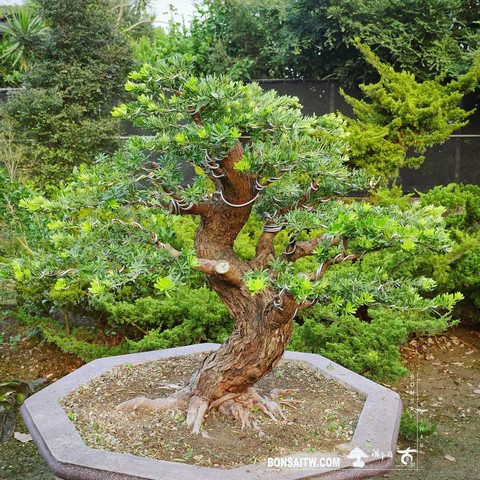 12 走過精彩2021，一起加油！ 我們的作品(Our Design)