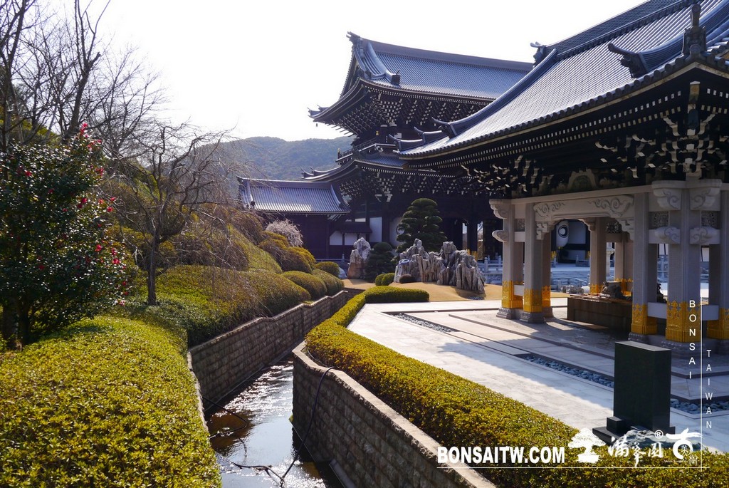 P1370596 [日本庭園]念佛宗無量壽寺．兵庫縣(4)