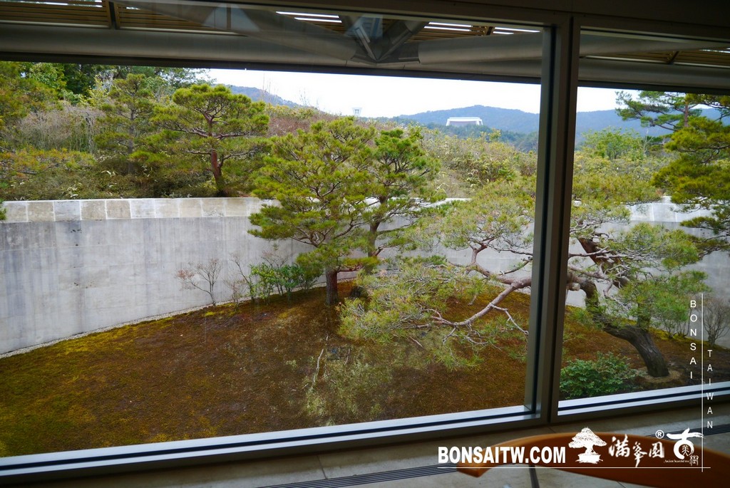 P1390058 [日本庭園]山中的世外桃源．MIHO美術館(2)