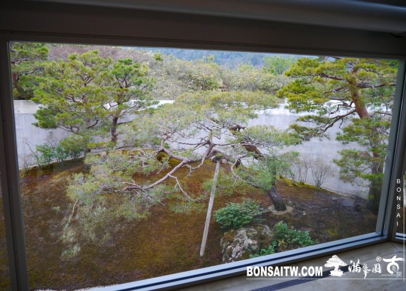 P1390076 [日本庭園]山中的世外桃源．MIHO美術館(2)