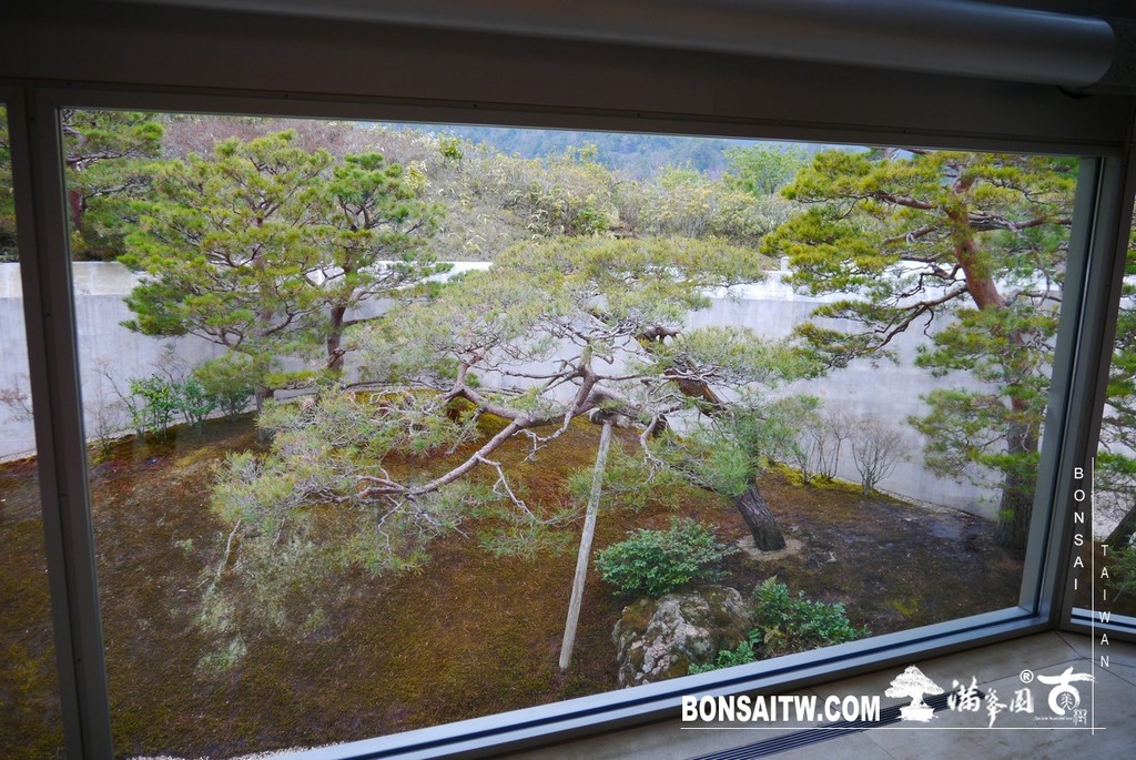 P1390076 [日本庭園]山中的世外桃源．MIHO美術館(2)