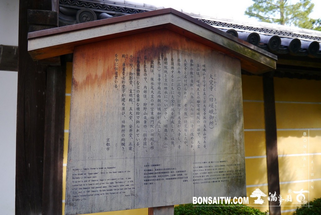 P1390535 [日本庭園]大覺寺．京都(1)