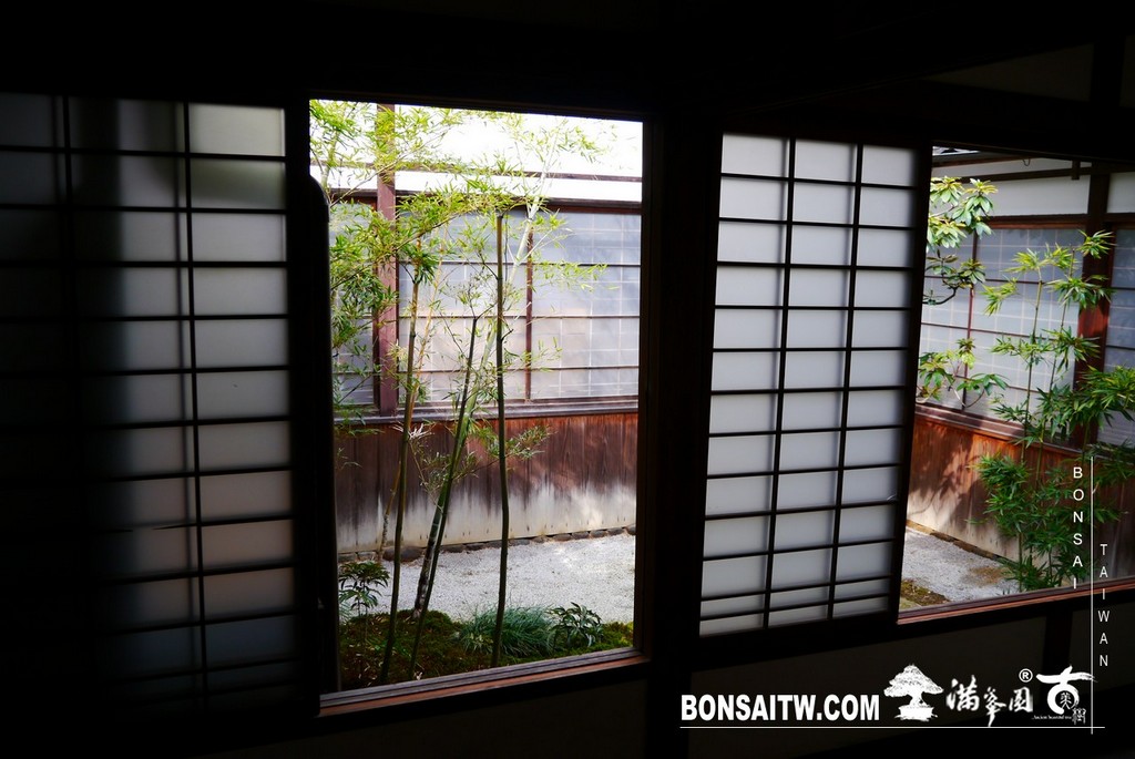 P1390588 [日本庭園]大覺寺．京都(1)