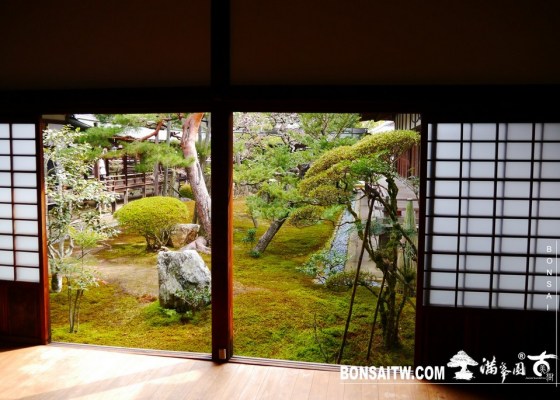 P1390602 [日本庭園]大覺寺．京都(1) 日本庭園(Japanese Garden)