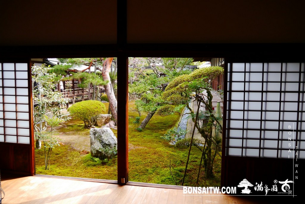 P1390602 [日本庭園]大覺寺．京都(1)