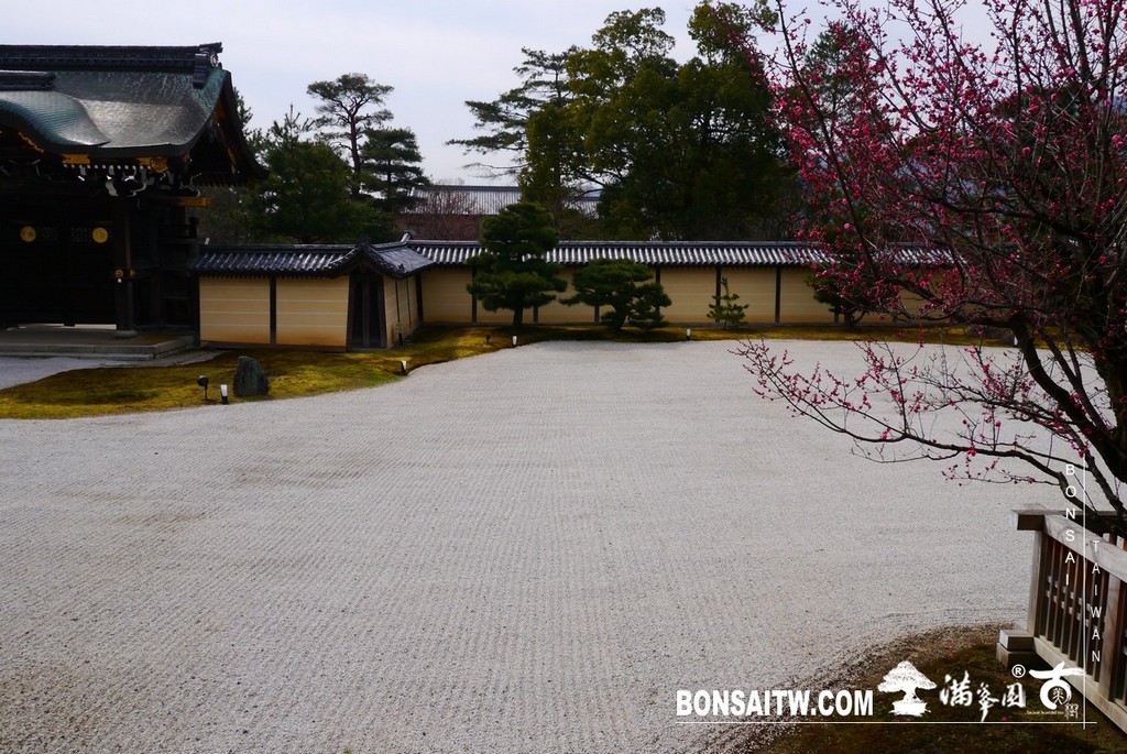 P1390655 [日本庭園]大覺寺．京都(1)