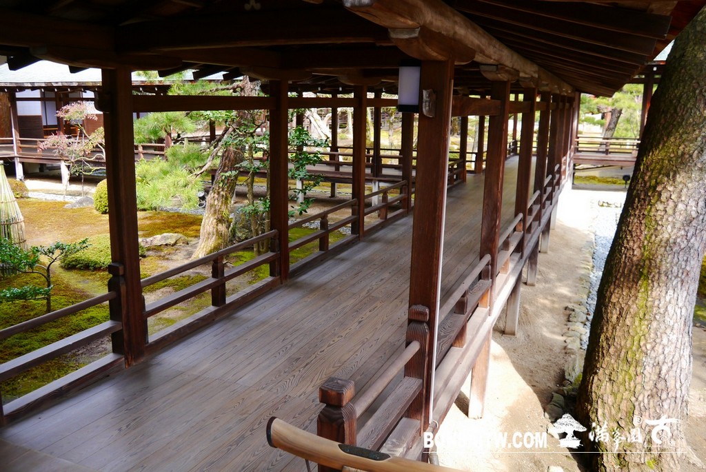 P1390677 [日本庭園]大覺寺．京都(1)