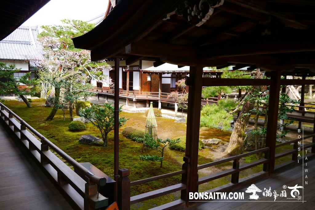 P1390682 [日本庭園]大覺寺．京都(1)