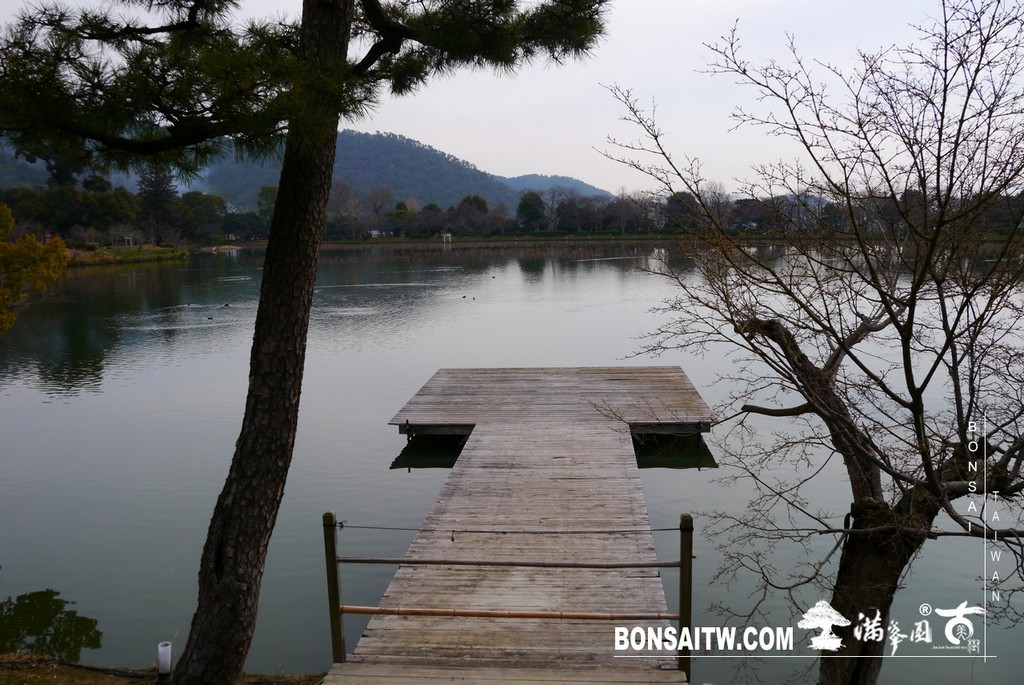 P1390813 [日本庭園]大覺寺．京都(2)