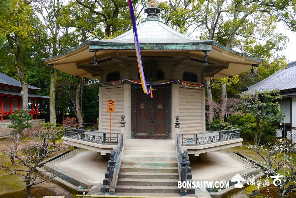 P1390832 [日本庭園]大覺寺．京都(2)