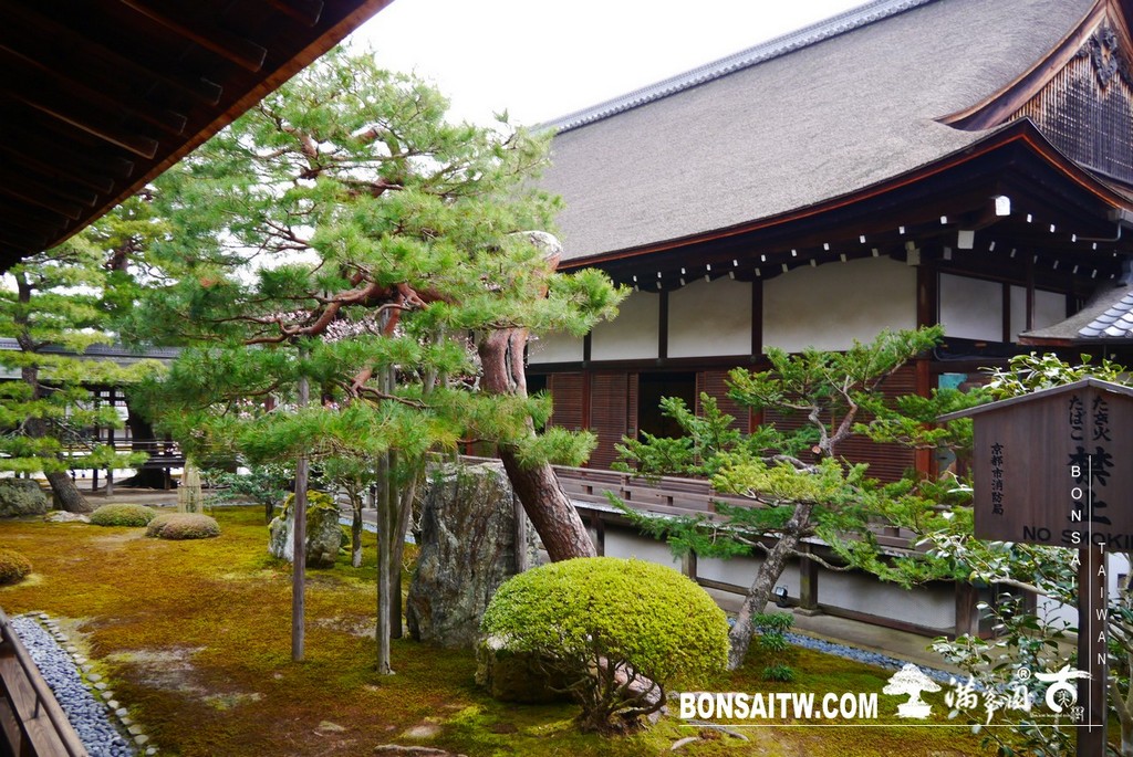P1390838 [日本庭園]大覺寺．京都(2)