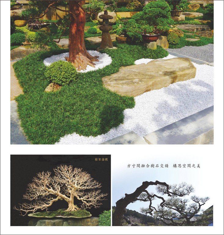 DM 3 Introduction of Man Feng Yuan(關於滿峰園)