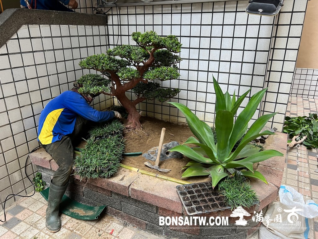 IMG 6301 [我們的作品]一坪小景案-案1017 客戶案例