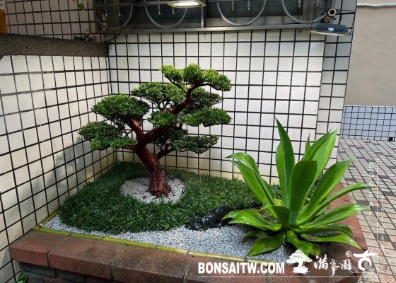 IMG 6320 [我們的作品]一坪小景案-案1017 小庭園